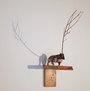 Marino Ficola - Rinoceronte