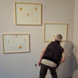 Myriam Laplante - 75 mosche